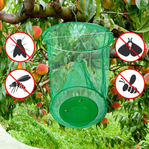 Viseća mreža za hvatanje insekata i buba | INSECTA